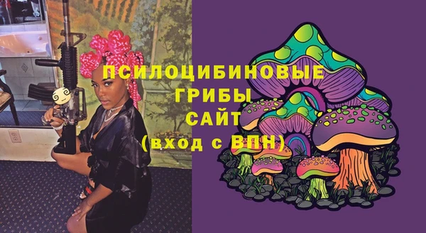молекула духа Беломорск