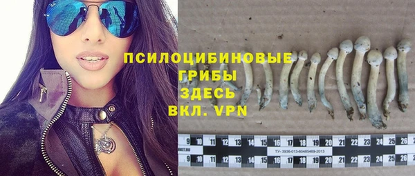 молекула духа Беломорск